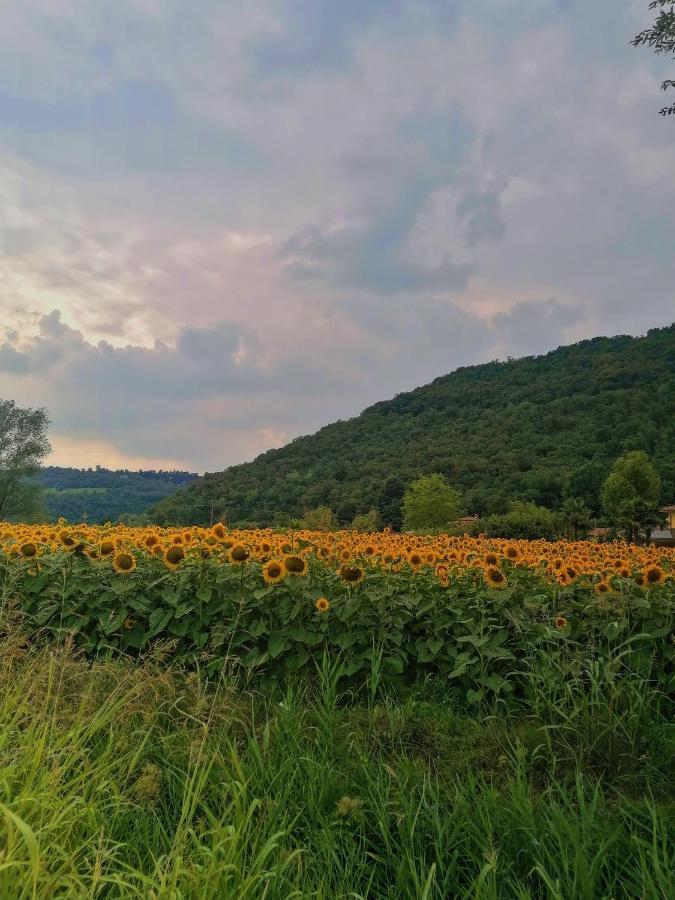 Ca' Dei Berici - Residence Ad Arcugnano Grancare Екстериор снимка