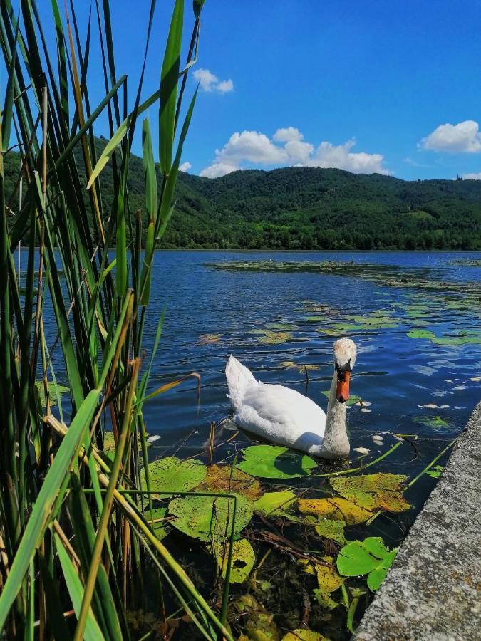 Ca' Dei Berici - Residence Ad Arcugnano Grancare Екстериор снимка