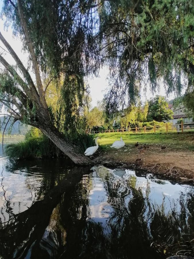 Ca' Dei Berici - Residence Ad Arcugnano Grancare Екстериор снимка