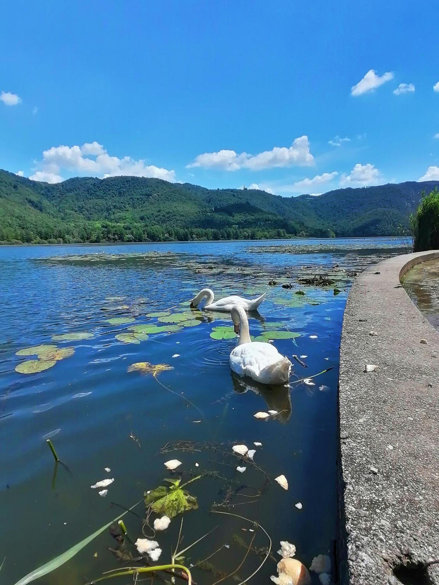 Ca' Dei Berici - Residence Ad Arcugnano Grancare Стая снимка